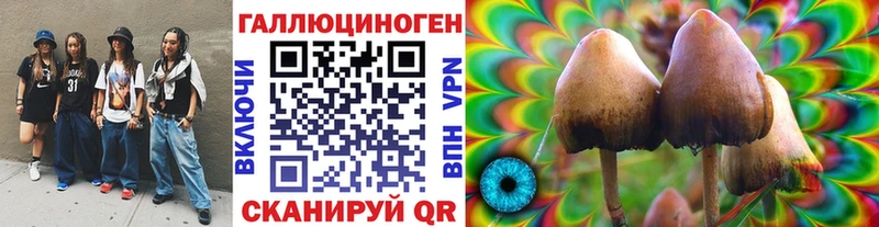 купить  сайты  Гагарин  Псилоцибиновые грибы Psilocybine cubensis 